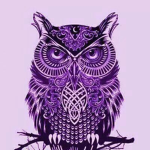 Purple Owl Official