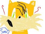 Sonic Heros