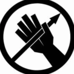 Site Echo  icon