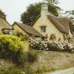 ~ Cottage Elf’s ~