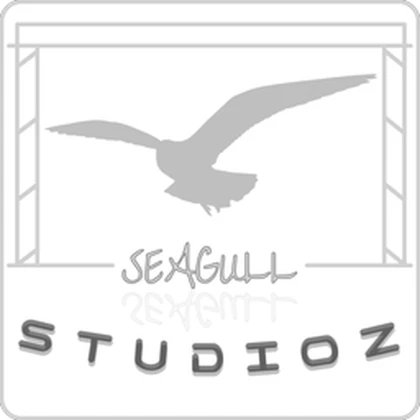 Seagull Studioz Roblox group icon