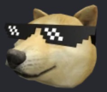 The big doge devs