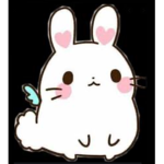 Bunny squad 19