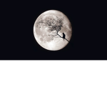 NightSkys : )