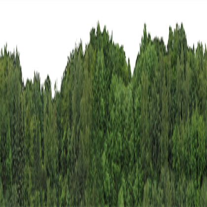 Background Forest 1 Roblox decal