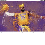 Lakers&bulls