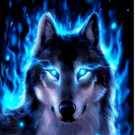 The Sea Wolf