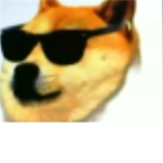Doge Club For Doge Fans