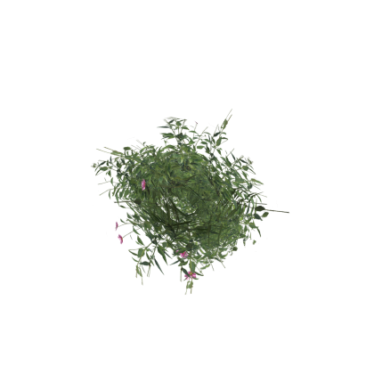 Large Bush 5