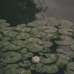 ♡