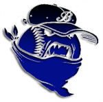 Mid Michigan Bandits Sports