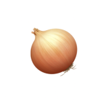 THE LOVE OF THE ONION