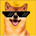 DS (Doge Sanremo)