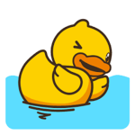 *Rubber Ducky Gang*