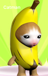 Banana/cat Fan Club