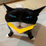 Phantom Thieves meow