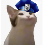 The Pop Cat Police Department.