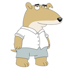 vinny the dog