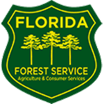 Division of forestry , Florida