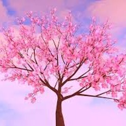 cherry blossom town RP [NEW]