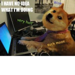Doge242424ganster