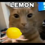 The Lemon Cult!