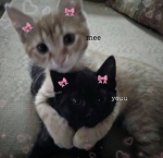 GachaRats