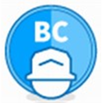 The Official BC Group 2