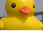THE DUCK SQUAD ll