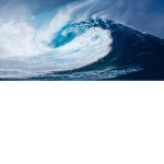 .+|FrostClan|+.