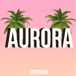 AURORA'S DANCE ROOM