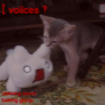 【 voiices ‽