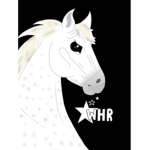 The Wild Horse Rodeo