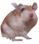 willywheel's clothes and games group
