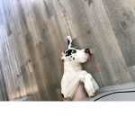 Dogsforlife.