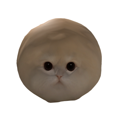 Fluffy Kawaii Round Cat Head 