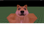 DOGE ONLY CLAN