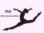 Tulips Gymnastics Academy