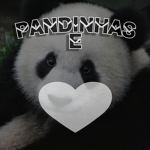 pandinhas e