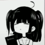 windysocool