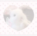 meow productiоns Group Thumbnail