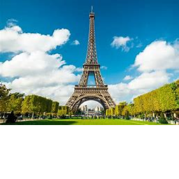 Survive France