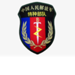 [CPLAAF] 空降兵第一三四旅