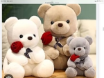 ATHE CUTE BEARS