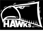 Dark Death Hawks