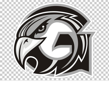 Graham Falcons HighSchool