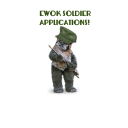 E W O K APPLICATION