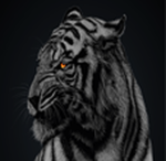 Hena UGC