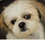 The Barkly