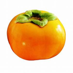 persimmon